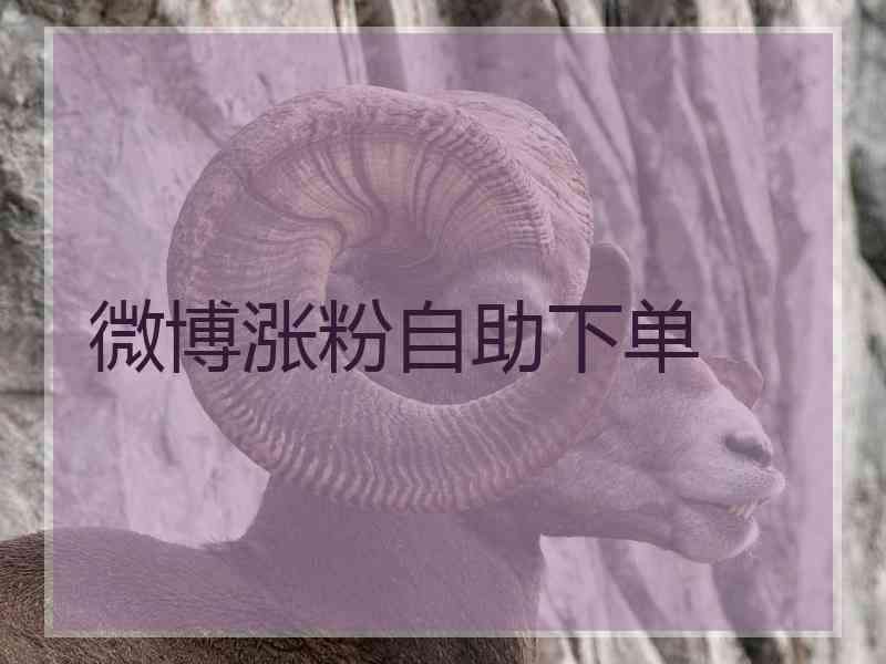 微博自助下单网站的简单介绍