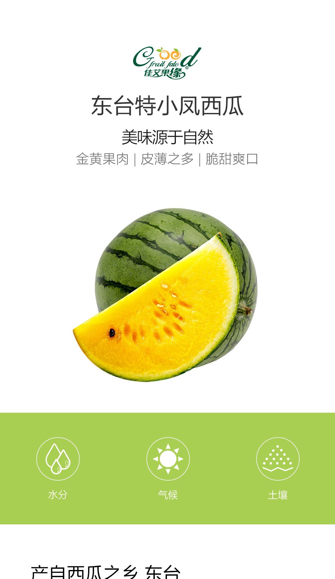 西瓜代刷平台（刷西瓜视频能赚钱吗）