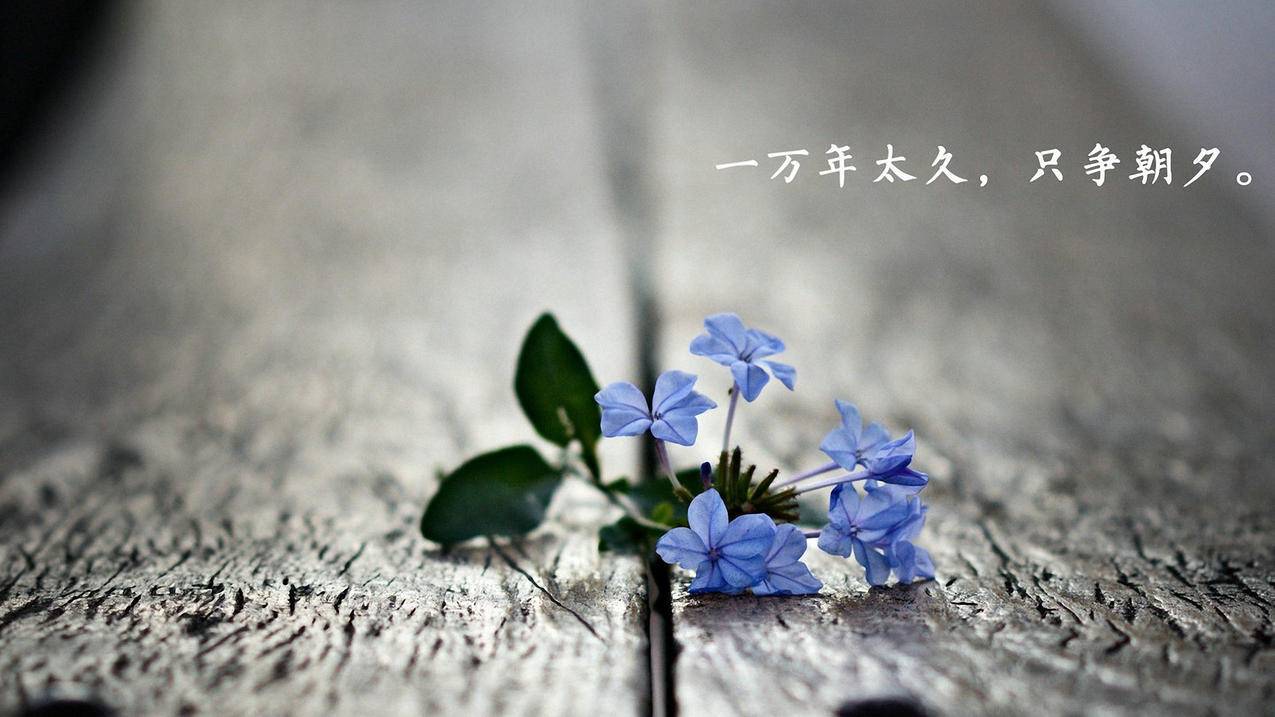 QQ代刷网便宜（代刷网全网最低价便宜）