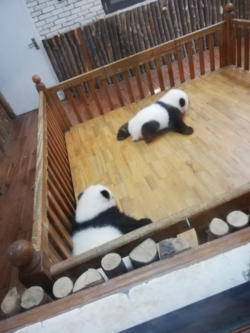 关于熊猫社区空间业务自助下单平台的信息