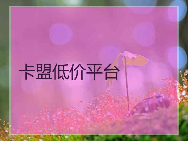 快手业务最低价（快手低价业务全网最低）
