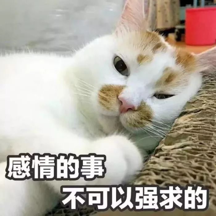 小老弟业务（小老弟传媒公司）