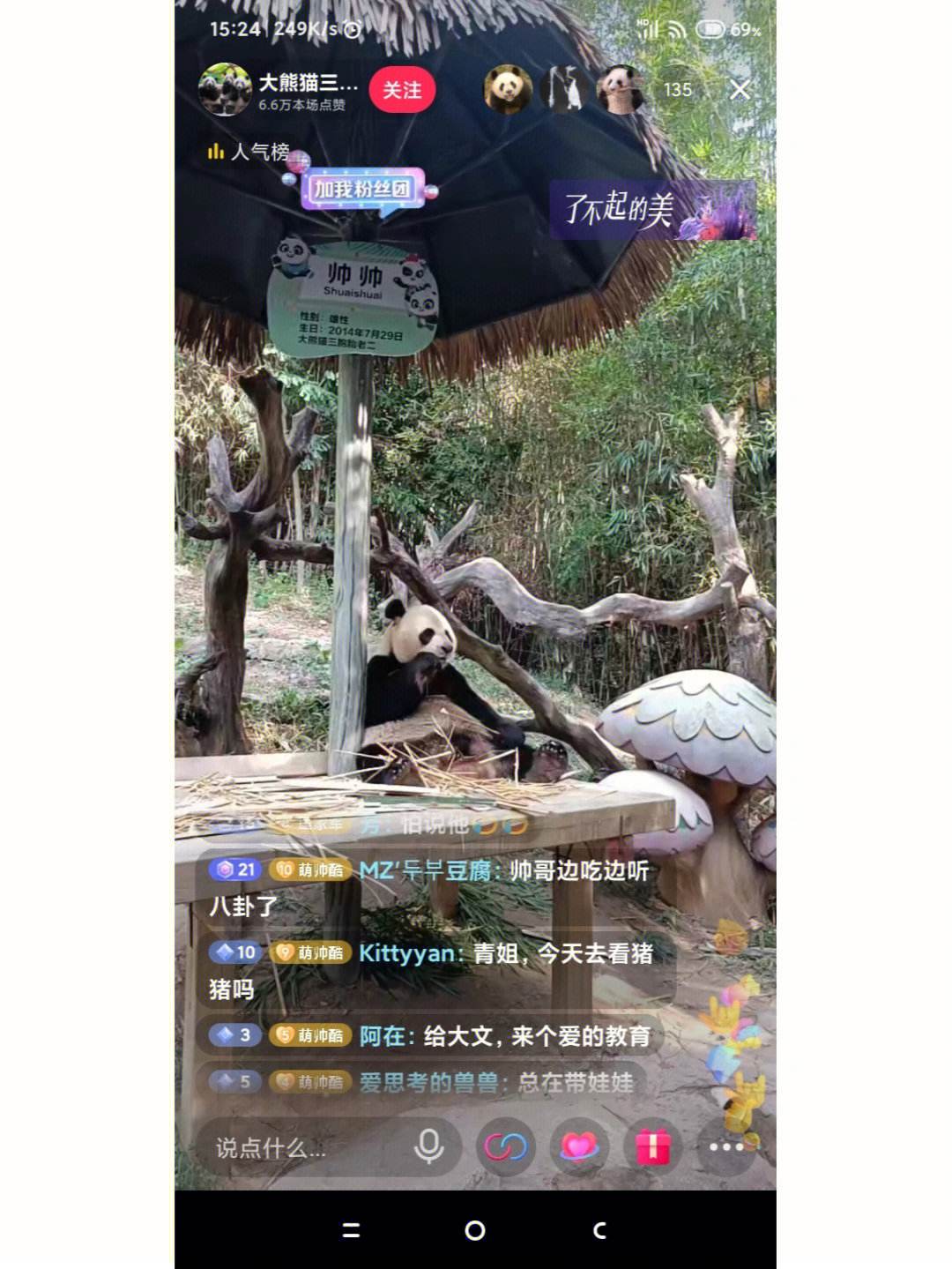 熊猫代刷网（熊猫代刷社区）