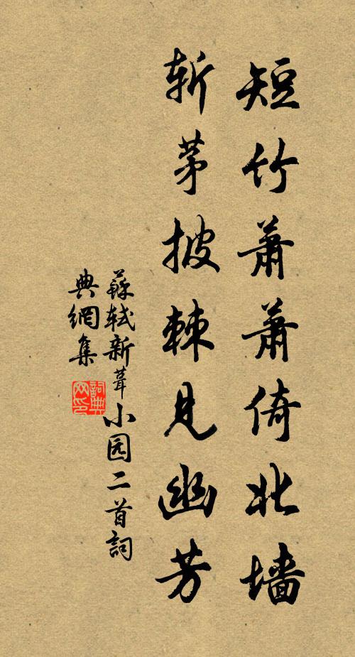 萧萧代刷网（萧萧代刷网免费）