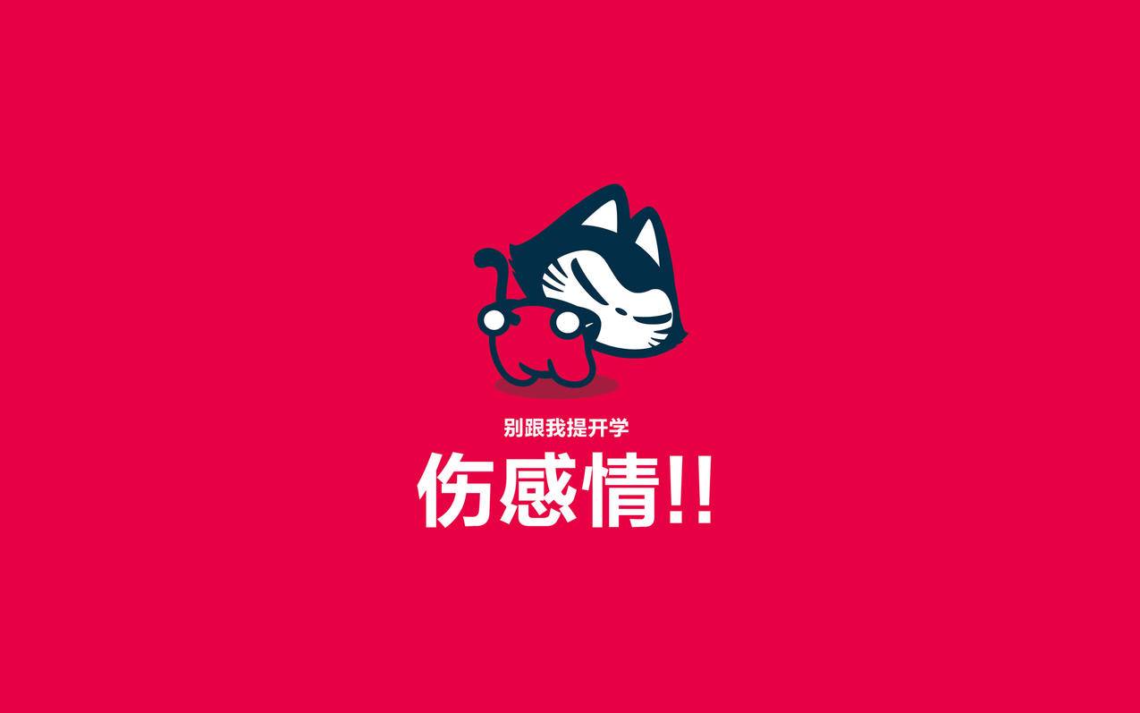 喵代网刷快手（快手喵哥卖的东西可以相信吗）