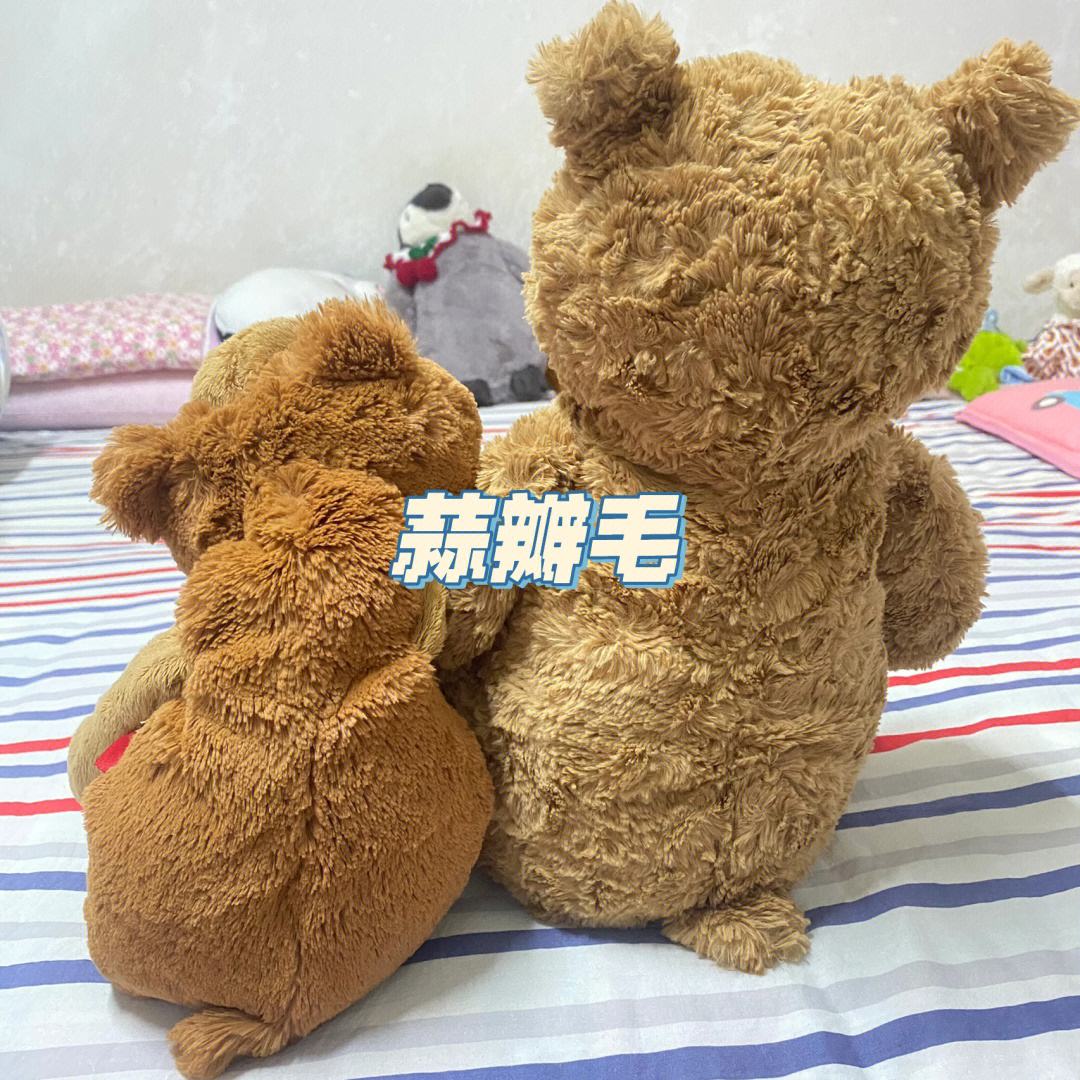 小熊速刷网（小熊刷机软件需要刷多长时间）