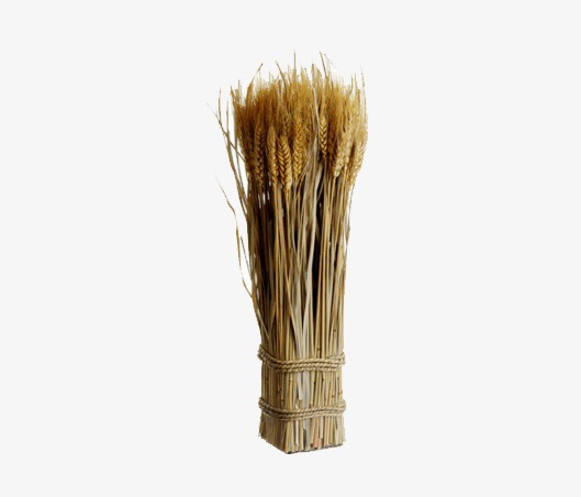 麦子刷网站（麦子刷网站）