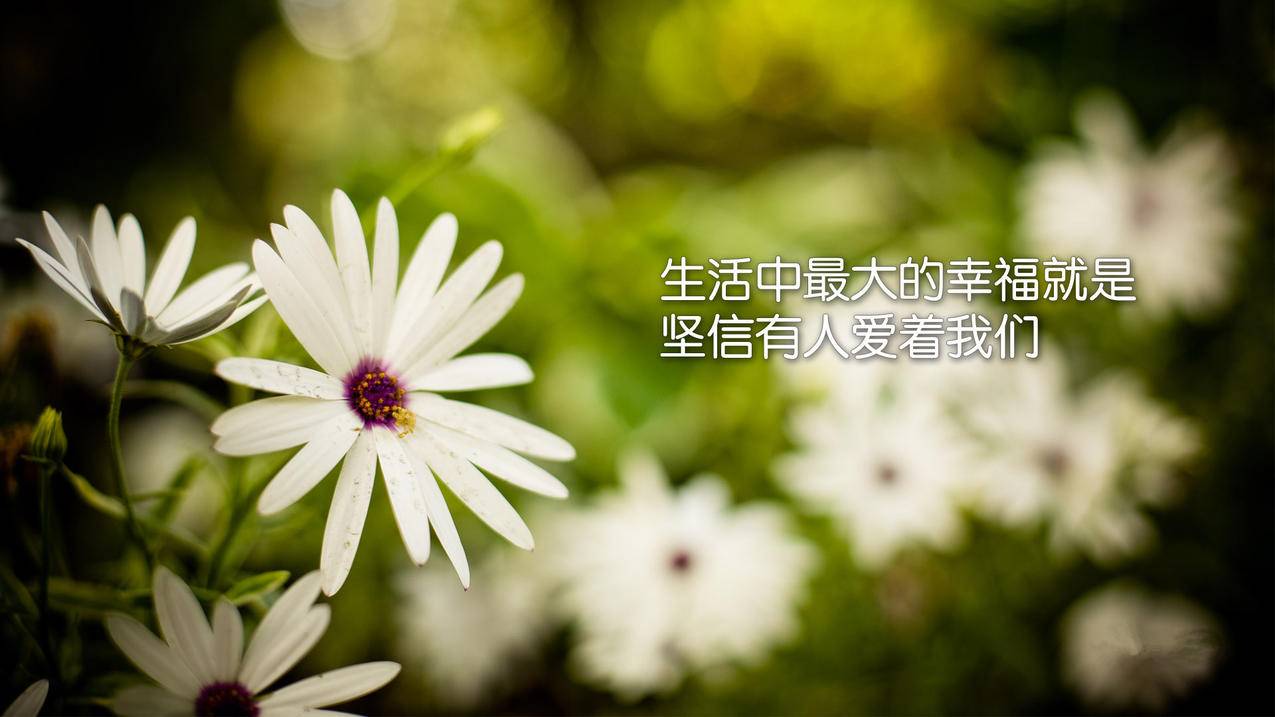 qq空间说说赞全网最低价（空间说说赞全网最低价网站）