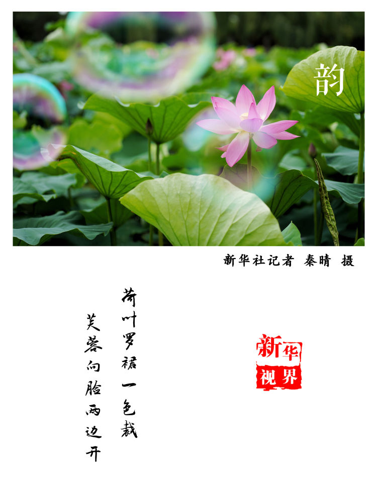 南荷网络代刷网（南荷网络_24小时秒单业务平台）
