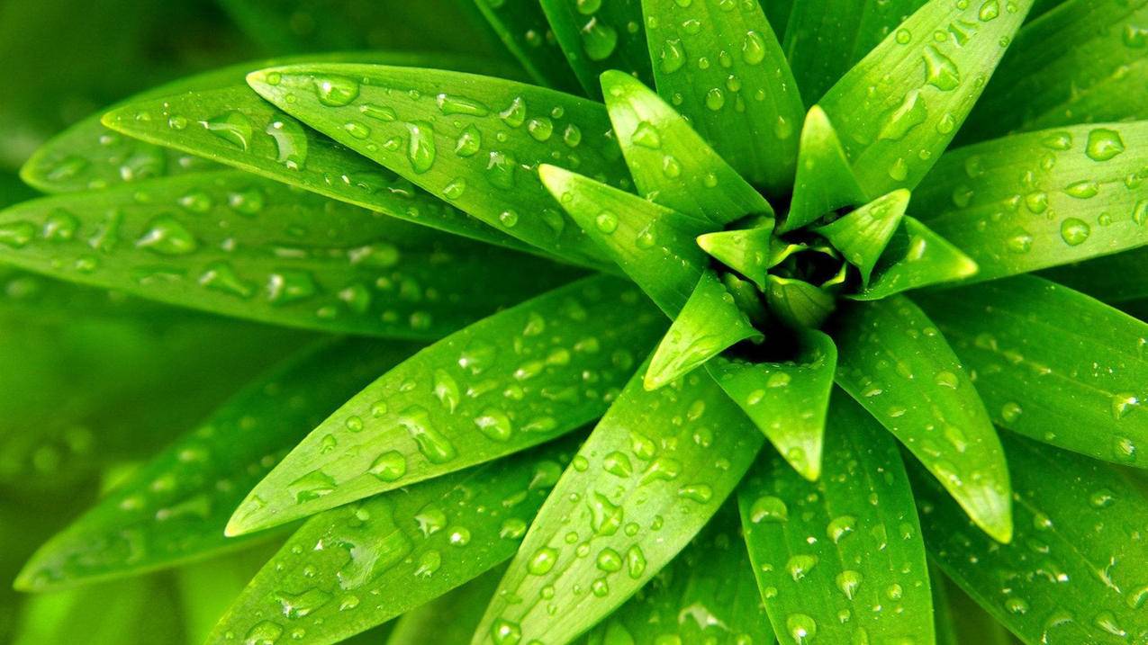 雷神代刷平台（雷神代刷网 网站）