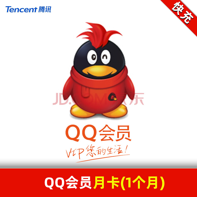 永久qq会员充值网站（永久会员充值网站是什么）