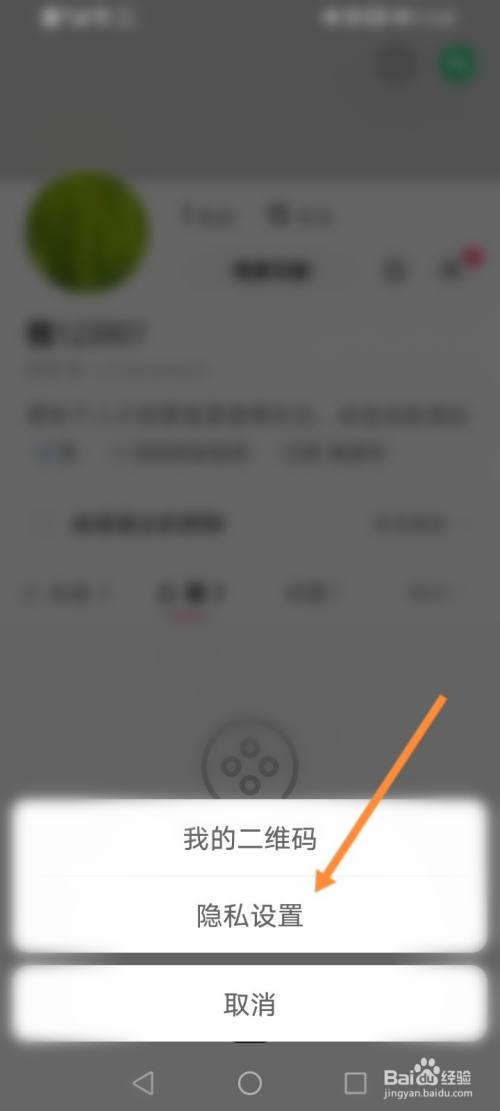 关于0.1元100赞快手的信息