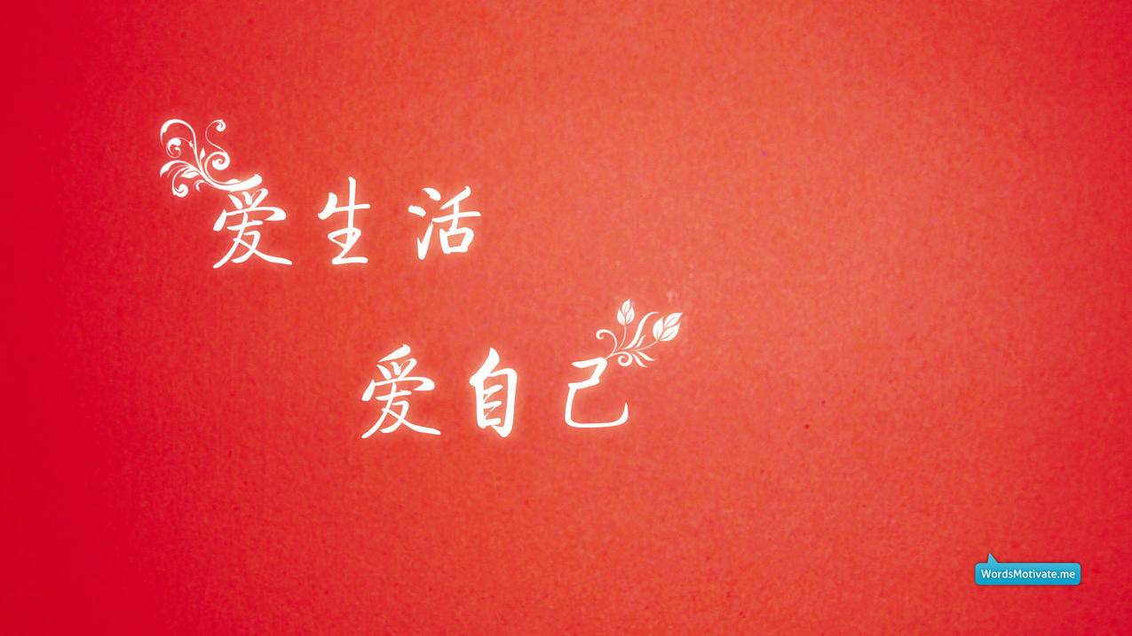 快手卡盟（快手卡盟自助平台）