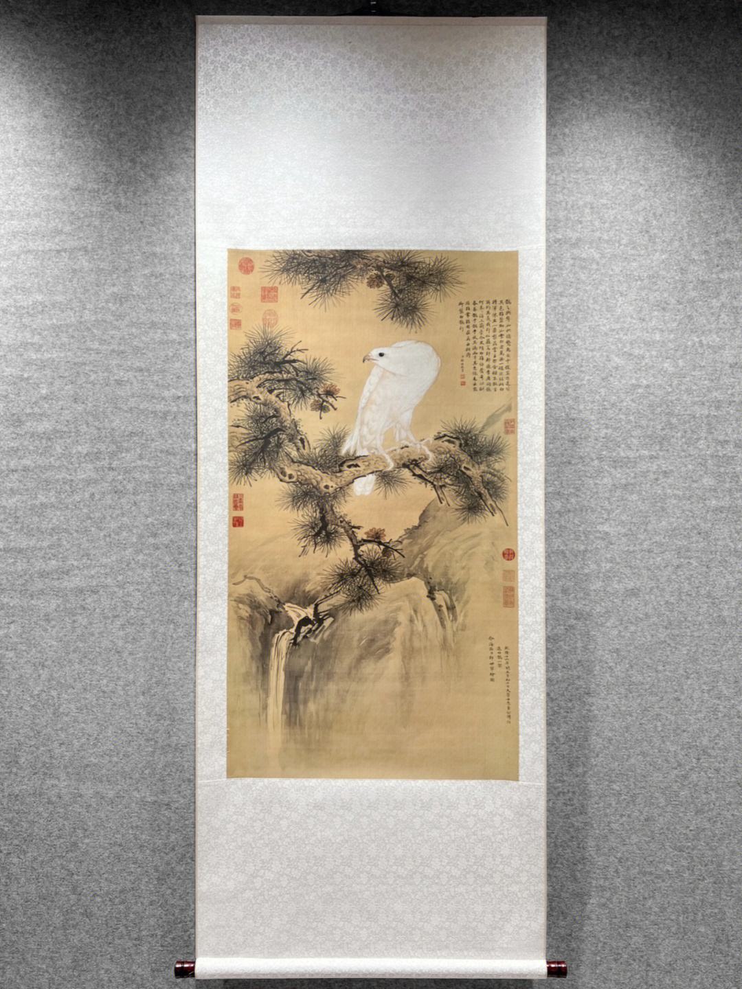 关于宁白代刷的信息