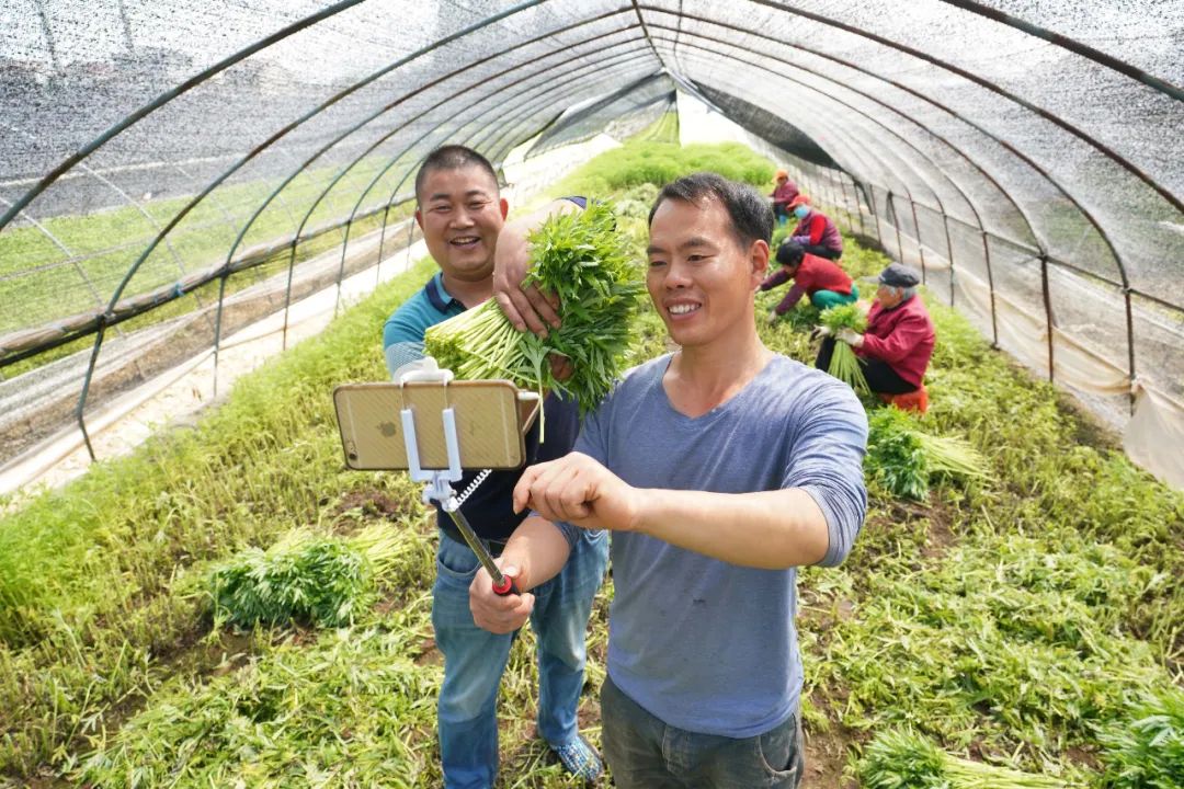 南何代网刷（南荷代刷网_）