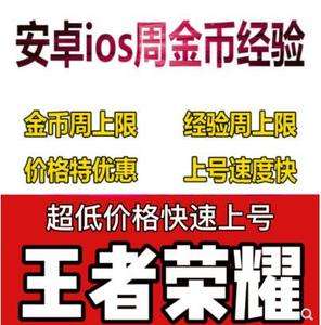王者荣耀经验代刷网（王者刷经验的脚本有哪些）