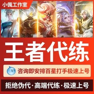 王者荣耀经验代刷网（王者刷经验的脚本有哪些）