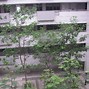 七栋代刷网站（代刷网78ds）