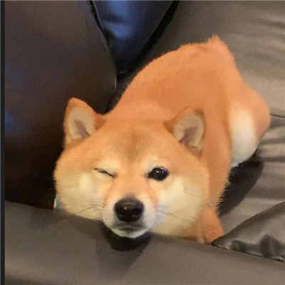 一毛一万个赞（一毛钱一万赞全民）