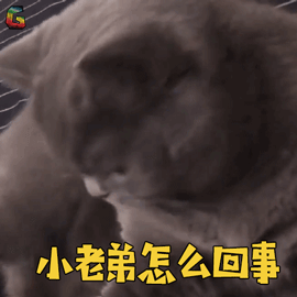 代刷小老弟（小老弟自助下单）