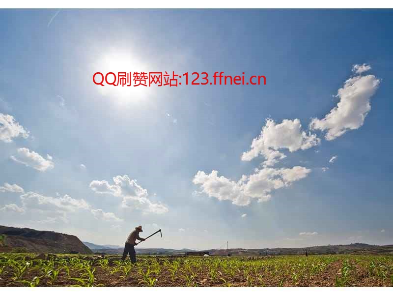 qq刷赞520（刷赞自助下单网）
