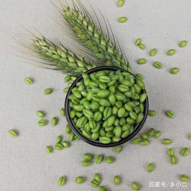 麦子代刷网站（麦子刷网站）