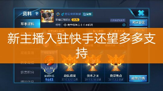 王者主页赞网站（王者主页赞可以在哪买到?）