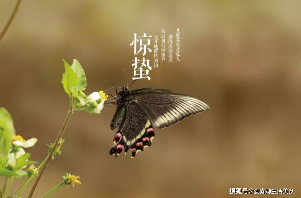雷神代刷网站推广_雷神代刷网站推广怎么做