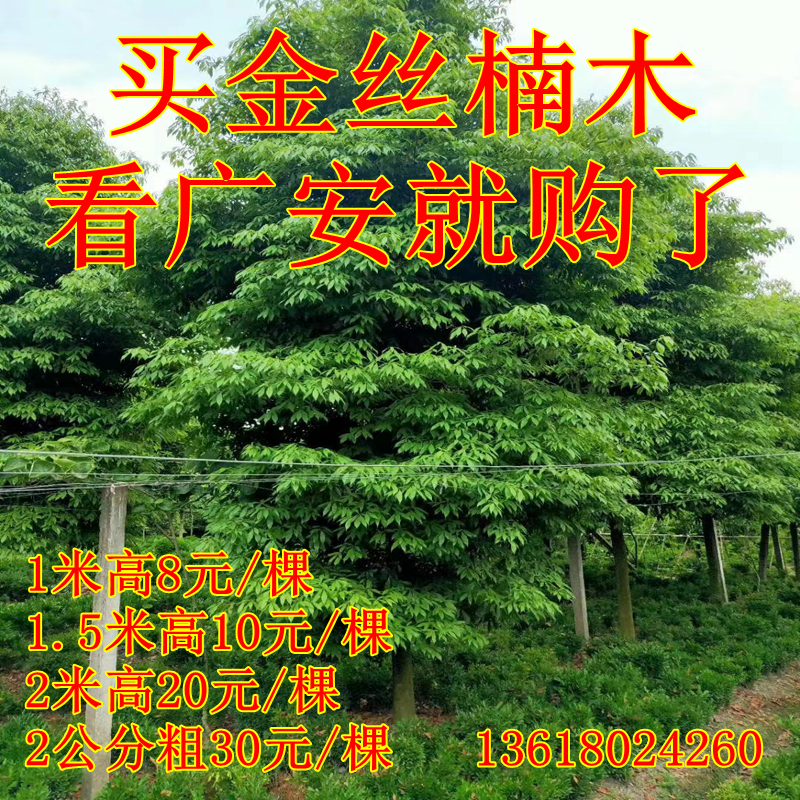 包含二楠刷业务的词条