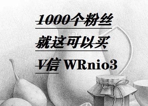 一块钱买1000粉丝的简单介绍