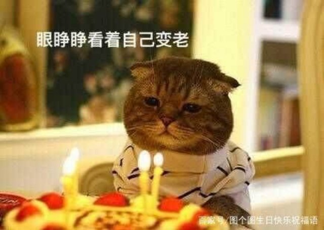快手一块钱赞_快手一块钱是多少快币