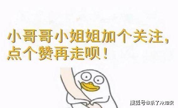 小苹果刷赞_小苹果刷枪官网