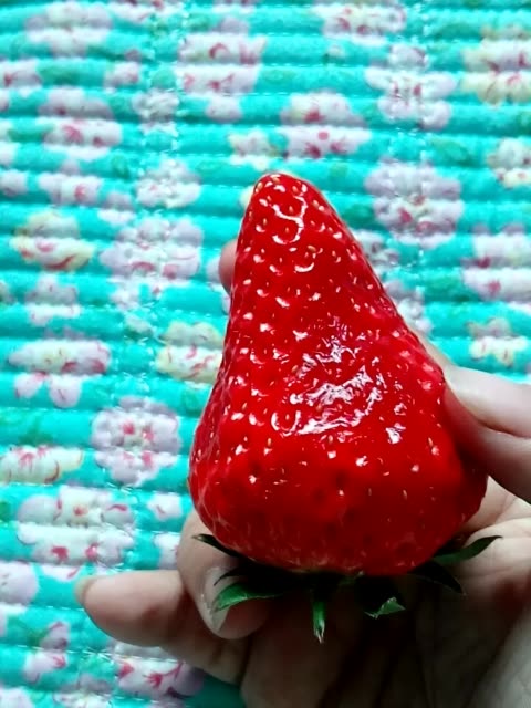 草莓代刷快手_草莓代刷快手赚钱吗