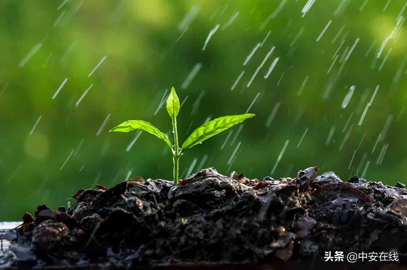 故雨代刷网_被雨洗刷过的城市