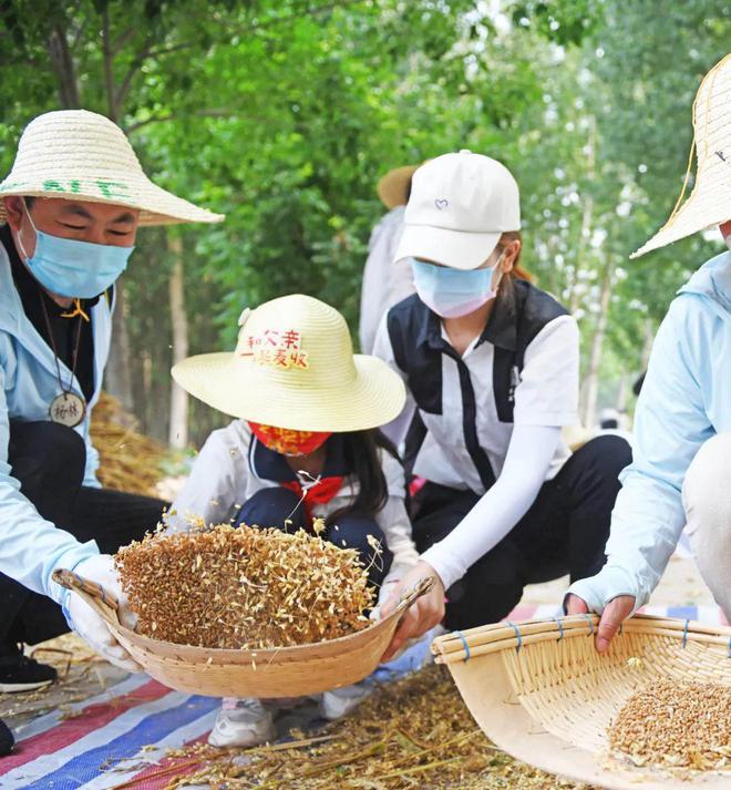 麦子代刷_麦子赚下载