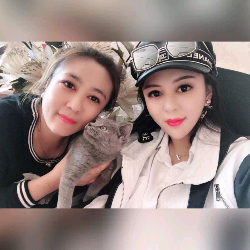 包含名片赞0.8元一万的词条