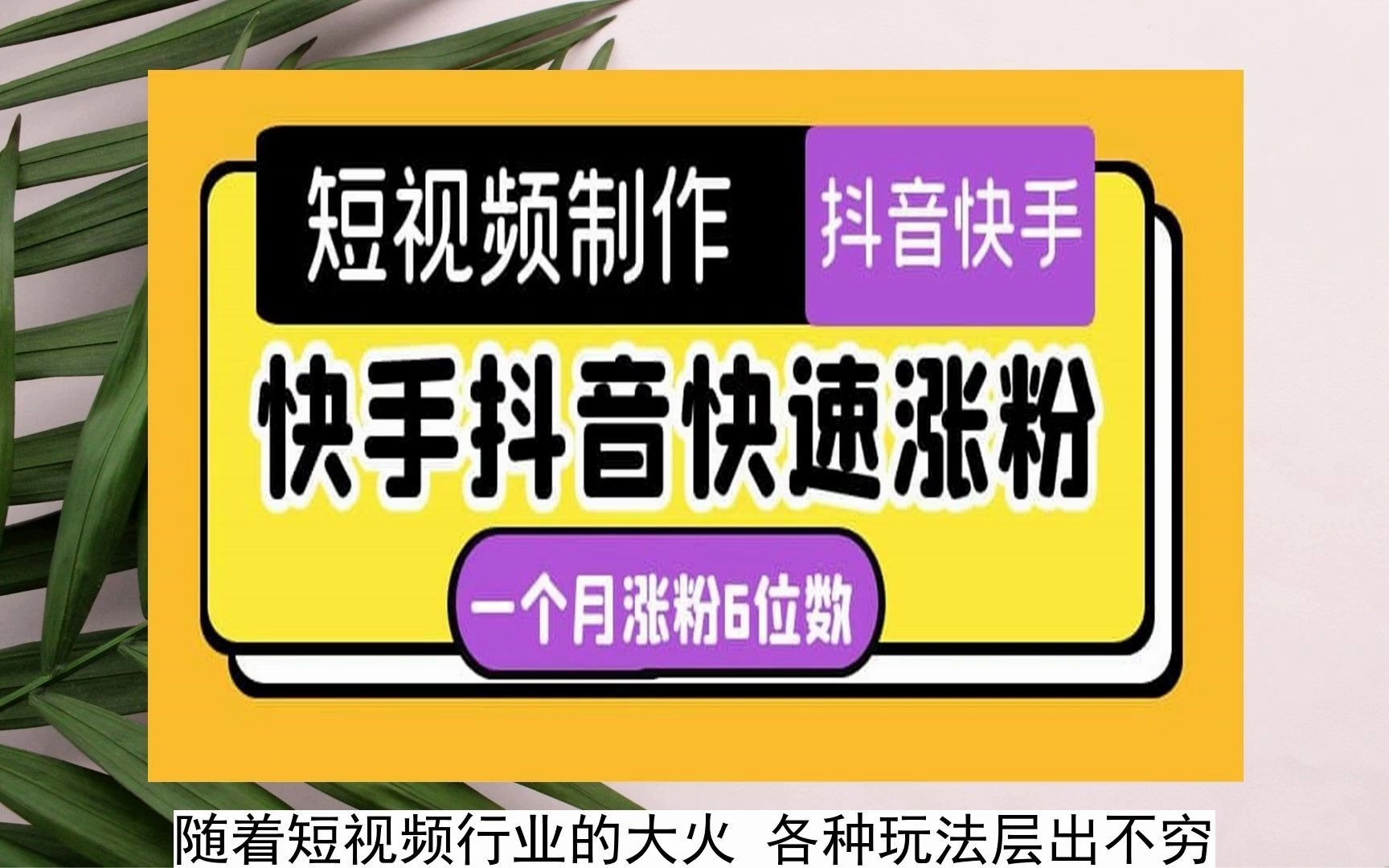 快手涨粉一元1000_快手涨粉一元涨1000000粉
