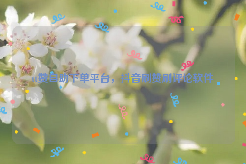 关于快手刷赞下单平台的信息