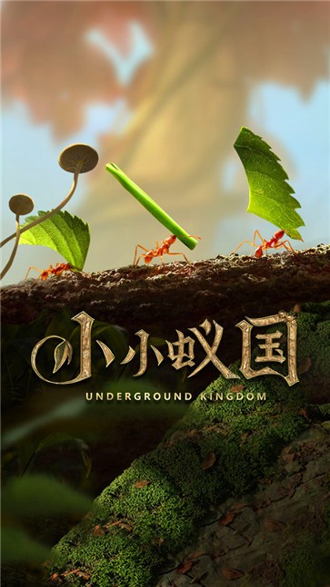 蚂蚁快刷平台_蚂蚁快赚app下载