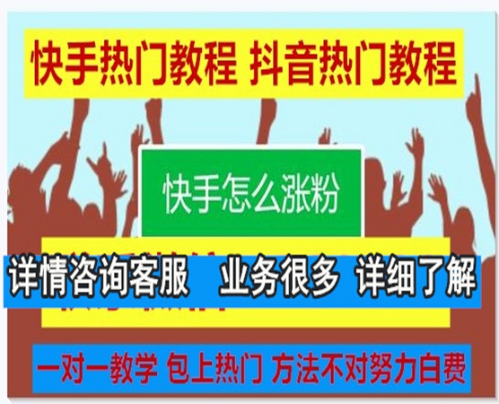 快手浏览量代刷网_快手浏览量代刷网站是什么