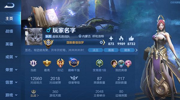 王者荣耀名片刷人气免费_王者荣耀名片人气如何提升攻略点赞