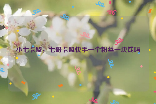 快手刷播放卡盟_快手刷播放双击网址卡盟