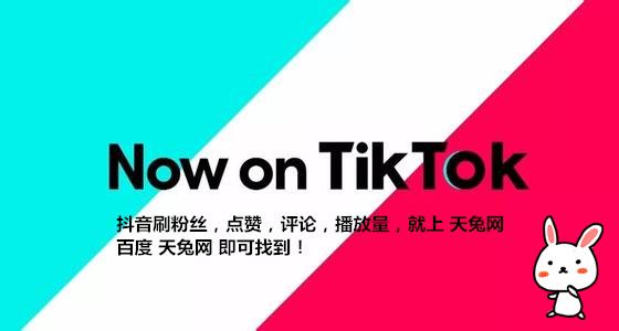 快手粉丝一元100个_快手粉丝一元100个不掉粉秒到