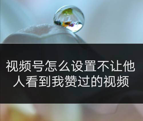 包含名片赞10000只需一毛的词条