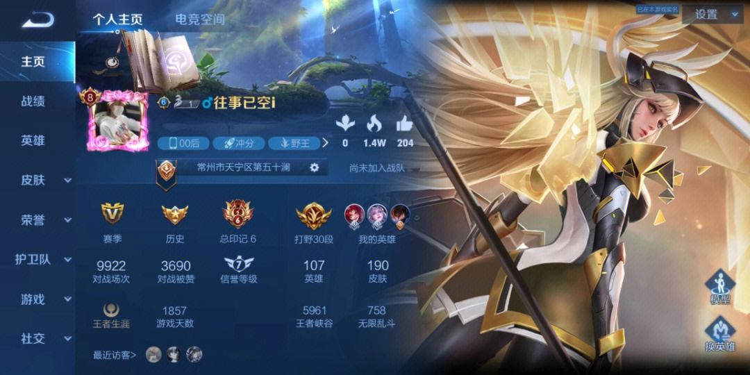 王者荣耀主页代刷_王者代刷v8真的吗