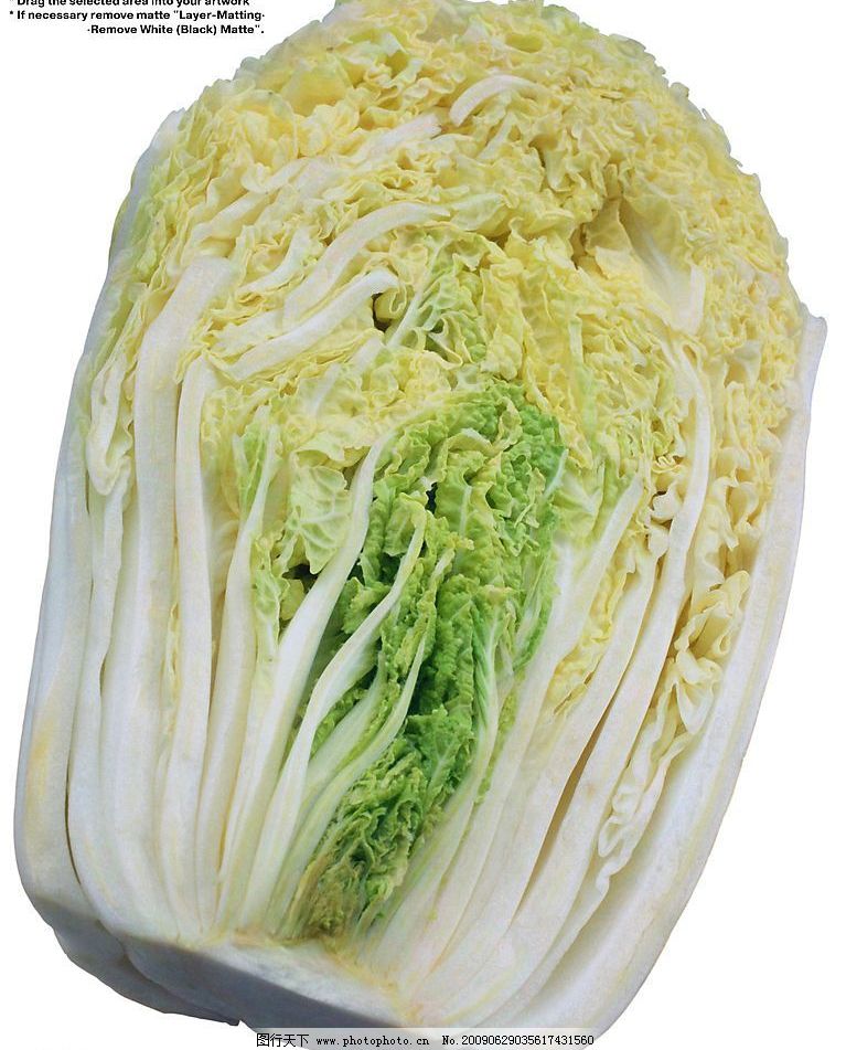 大白菜刷赞网_大白菜赞助商密码